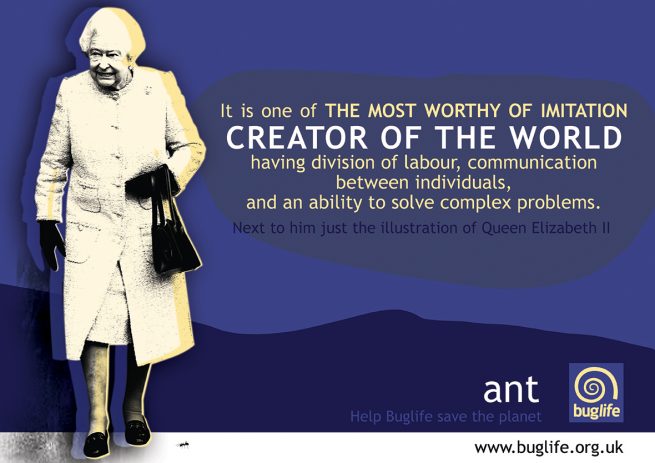 Creator of the world_Angelika Rynduch