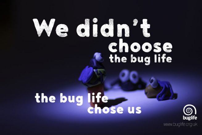 We didn't choose the bug life, the bug life chose us
