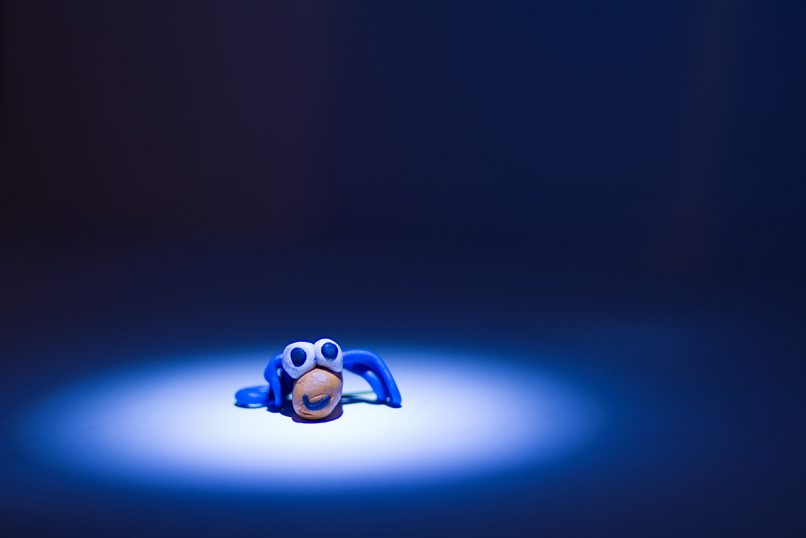 Bugs Image / Modeling Clay / Lady Bird