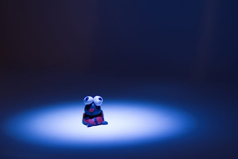 Bugs Image / Modeling Clay / Lady Bird