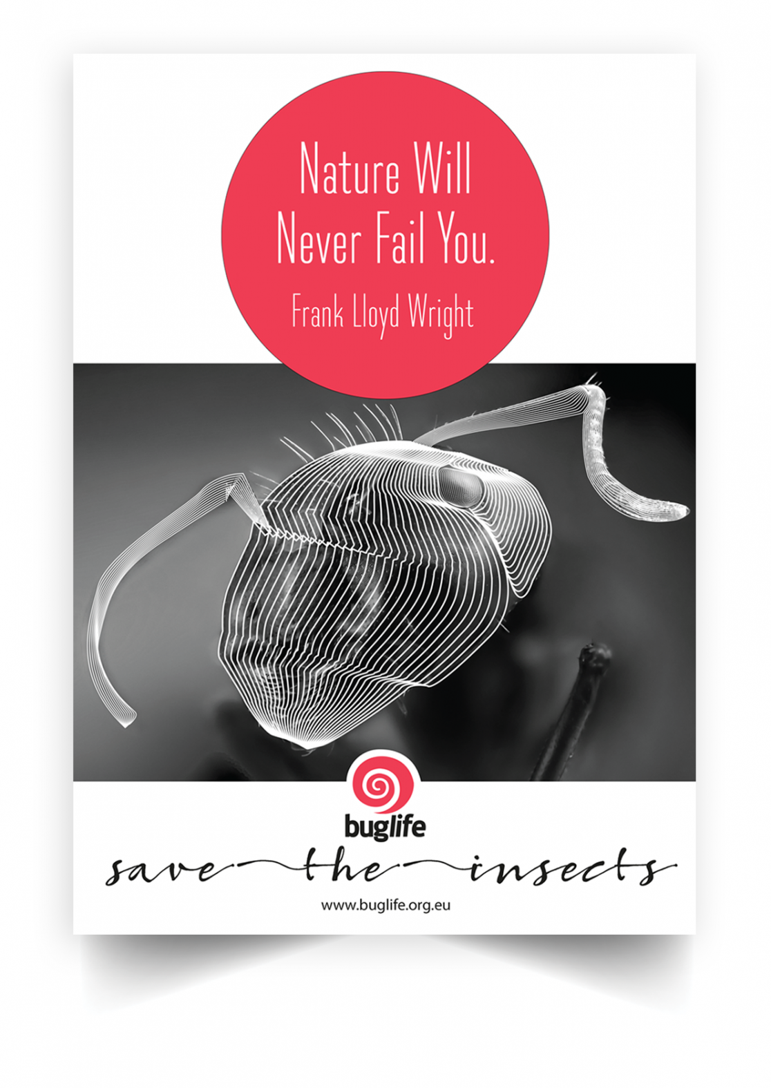 Save the Bugs_Advertising Campaign_Ant1_Angelika Rynduch_Graphic Design