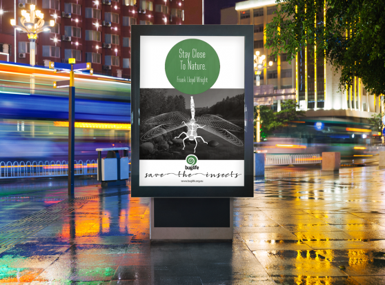 Save the Bugs_Advertising Campaign_Dragonfly_Angelika Rynduch_Graphic Design_Visual