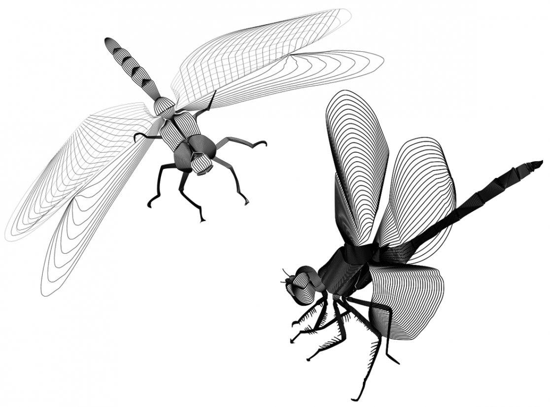 Vector Bugs2_Angelika Rynduch_Graphic Design